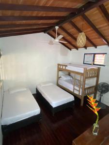 Casa BADAI