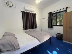 Blue Jungle House 2BR and AC
