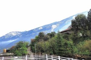 Cedar Crest Homestay