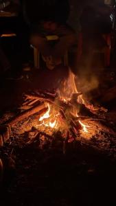 Cedar Crest Homestay