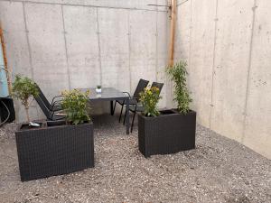 Barger Apartment