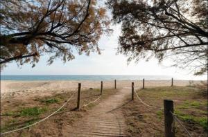 Tinny Apartment 30 minutes from Barcelona, right by the beach