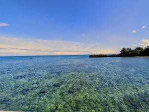 Olive Vacation Rental