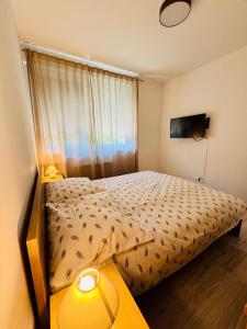 Pearl Wellness Apartman