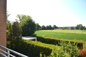 Oasi apartment close to Venice