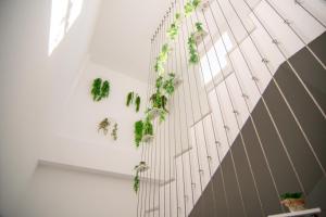 Apartamentos Alsa
