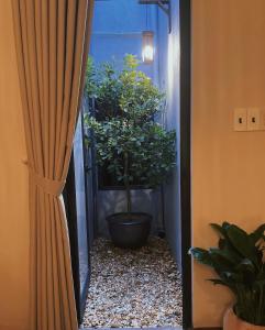 Monoi Home 1