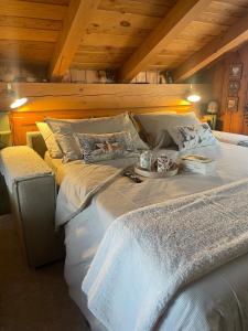 AlpiNest Cozy Attic in the Heart of Bormio