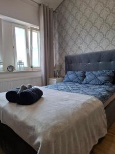 Kameralny Apartament w Centrum