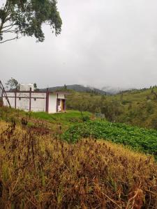 Nature Escape Retreat