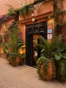 Riad Oasissime