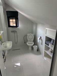 Apartment Bojana