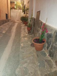 Casa Retiro Picena