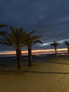 Mi Casita Del Sol - Near Beach, Port and Center - Minimum 11 days- My Sunny Little Home