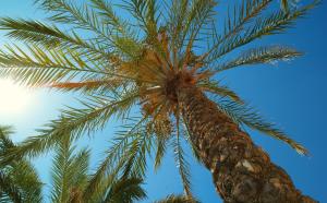 Kallitsakis Beach Chania Greece