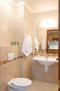 St Ivan Rilski mountain view SPA apartment in Bansko