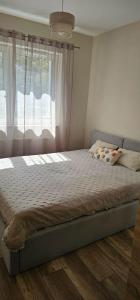 Apartament Zamenhofa