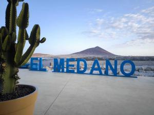RenTenerife El Medano Beach Life
