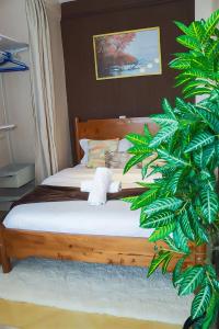 Naze L Antique,Artesano-10 Min to JKIA & SGR