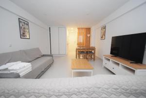 MARCONI - Estudio - Fincas Arena