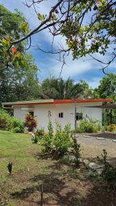 Villas Pura Vida - Mango