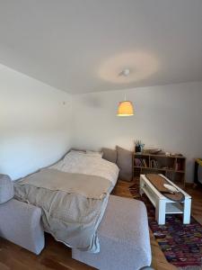 LIJA apartman Divcibare Mali Golubac