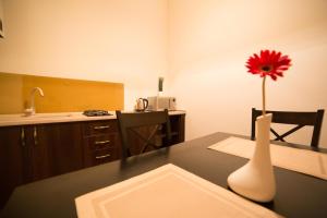 Apartment on Lychakivska