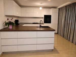 Vila de Lux langa Trabsfagarasan