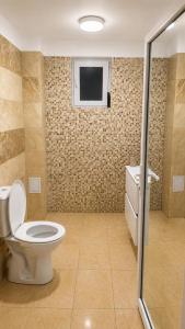 Vila de Lux langa Trabsfagarasan