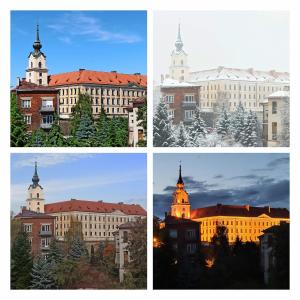Z widokiem na zamek