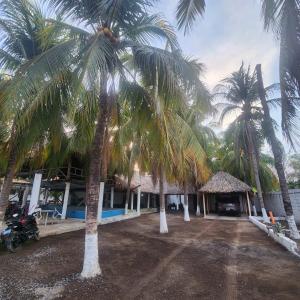 Hostal Cielo en el paredon