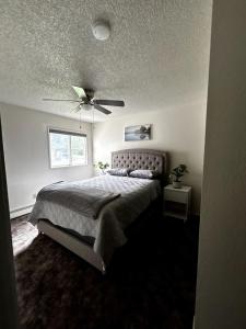 Bright Beautiful 2 Bedroom Suite