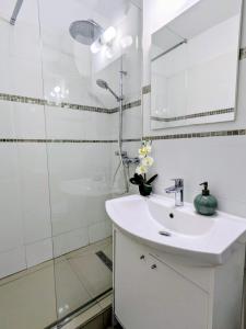 Tempore HOUSE - Center Apartment UMF