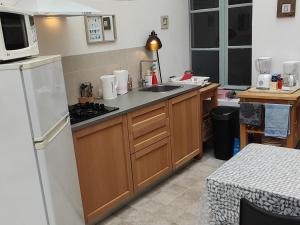 Apartment with garden in the city center