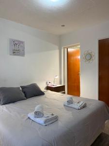 MS Hotel Campos 26