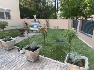 Green Horizon rooms , Paracin