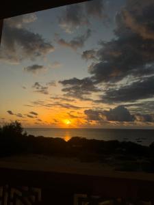 Sunrise Haven
