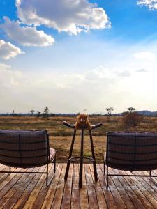 Asama Serengeti Camp