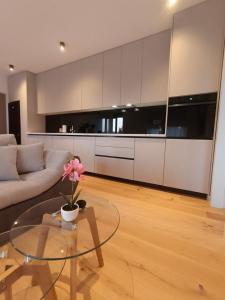 Apartment Onyx