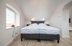 Lovely Apartment In Osno Lubuskie With Wifi