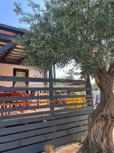 Olive House Pirovac