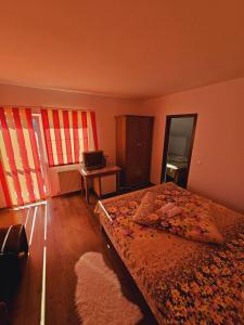 Apartament Baron Sighisoara