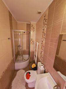 Apartament Baron Sighisoara