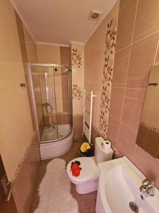 Apartament Baron Sighisoara