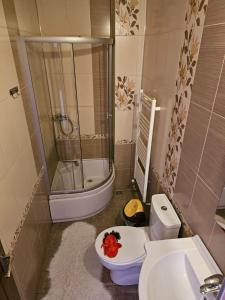 Apartament Baron Sighisoara