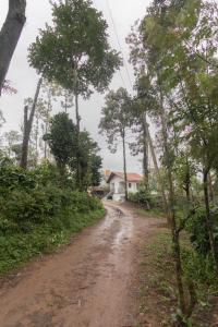 Sun Side Cottages