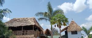 Kilimanjaro Simba Lodge