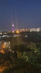 Apartament Ivony