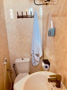 Flomi Minza Property