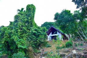 sunrise mountain view resort